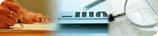 Servicios de Auditor�a